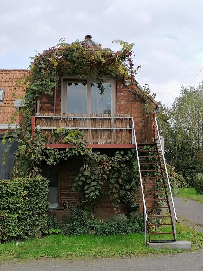 Studio With More Than A View Maldegem Exterior photo